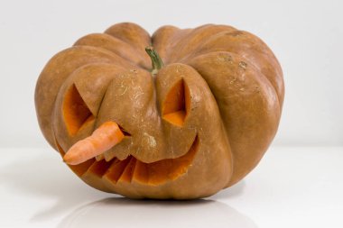 köpek ve turuncu halloween kabak oyma, ezilmiş ile ve doğa veya beyaz bir arka plan üzerinde daraltılabilir tipoloji