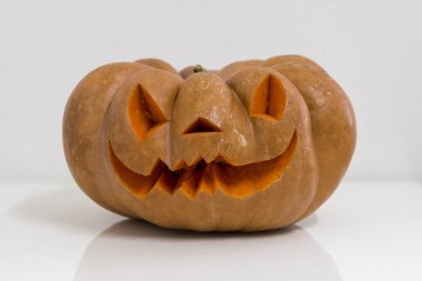 köpek ve turuncu halloween kabak oyma, ezilmiş ile ve doğa veya beyaz bir arka plan üzerinde daraltılabilir tipoloji