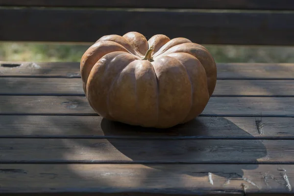 Love Orange Pumpkin Harvested Nature Perfect Use Halloween Festivity — Stock Photo, Image