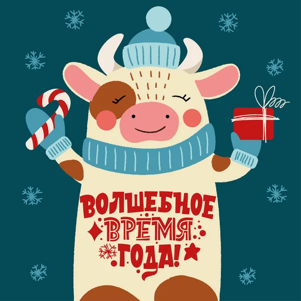 Une période magique de l'année. Phrase en russe. Taureau en chapeau avec un cadeau et une inscription sur le ventre. Superbe lettrage pour cartes de vœux, autocollants, bannières, imprimés. Carte de Noël. Bonne année 2021. — Image vectorielle