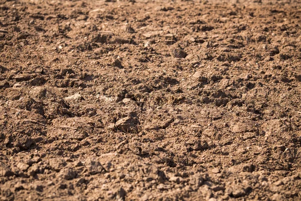 Champ Pulsé Avec Traces Tracteur Printemps — Photo