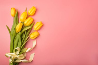 Bahar kartı: Sarı Lale mercan bir arka plan üzerinde. Görünümü en çok, yat