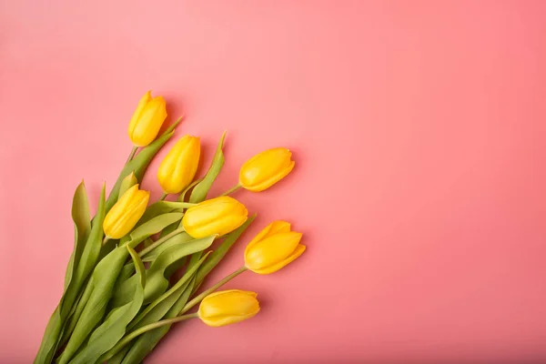 Spring card: yellow tulips on a coral background. Top view, lay flat — Stock Photo, Image