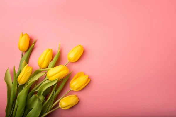 Spring card: yellow tulips on a coral background. Top view, lay flat — Stock Photo, Image