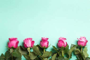 Pembe Gül açık yeşil arka planı üzerinde. Üstten Görünüm.