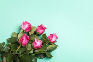Pembe Gül açık yeşil arka planı üzerinde. Üstten Görünüm.
