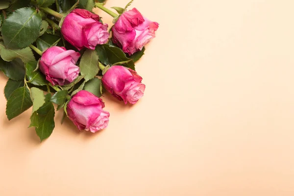 Pink Roses Living Coral Background Top View — Stock Photo, Image