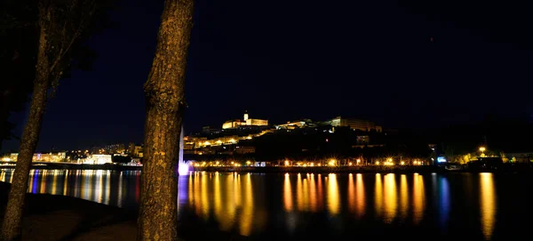 City Coimbra Night — Stock Photo, Image