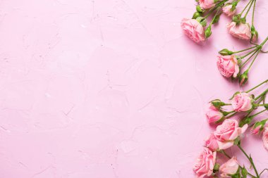 Pembe Gül çiçek pembe dokulu arka plan üzerinde kenarlık. Çiçekli natürmort. Seçici odak.