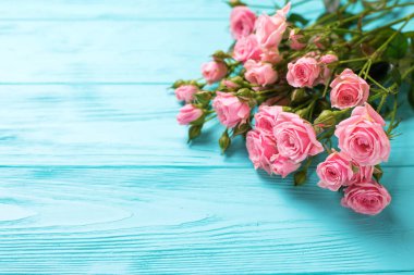 İhale pembe gül çiçek turkuaz ahşap arka plan üzerinde kenarlık. Çiçekli natürmort. Seçici odak. Metin için yer.