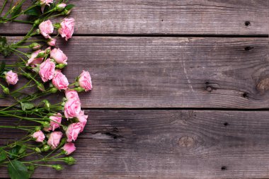 Pink roses on dark aged wooden background. Floral still life.  View frome above. Selective focus. Place for text clipart