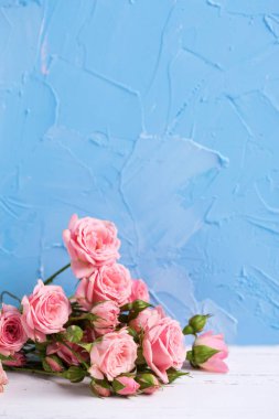 Pembe gül çiçek ışık mavi dokulu arka plan üzerinde kenarlık. Çiçekli natürmort. Seçici odak. Metin için yer. Dikey görüntü.