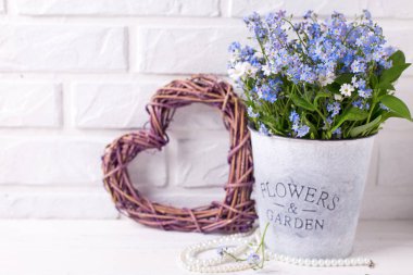 Romantik arka plan - mavi korun veya gri kova, dekoratif kalp ve inci beyaz ahşap zemin üzerinde myosotis çiçeklenir. Çiçekli natürmort. Seçici odak. Metin için yer.