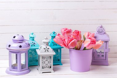 Taze pembe Lale çiçek menekşe kova ve parlak dekoratif fenerler Beyaz ahşap zemin üzerinde. Çiçekli natürmort. Seçici odak. Metin için yer.