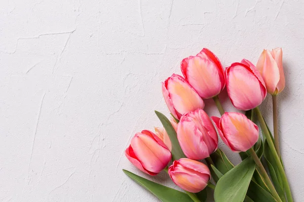 Border from pink tulip flowers on  textured background. Floral still life.  Selective focus. View from above. Place for text.