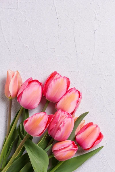 Fräsch Rosa Tulpan Blommor Texturerat Bakgrund Blommig Stilleben Selektivt Fokus — Stockfoto
