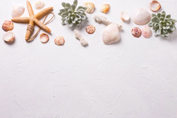 Summer background. Marine  decorations on white textured  background. Sea star, shells, coral, succulent echeveria. Sea objects. Selective focus. Place for text. View from above.
