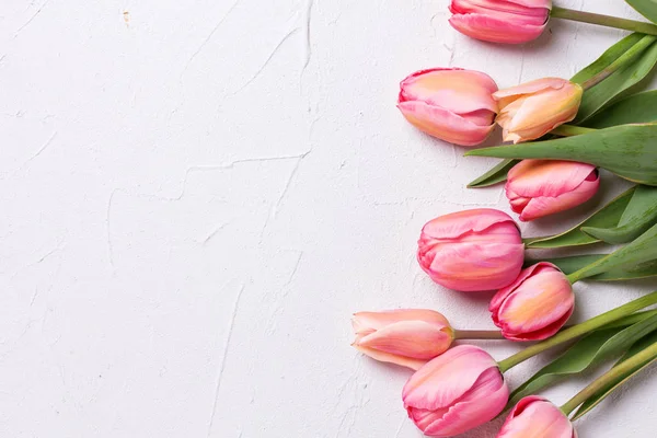 Border from pink tulip flowers on  textured background. Floral still life.  Selective focus. View from above. Place for text.