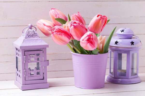 Flores Frescas Tulipán Rosa Cubo Violeta Linternas Decorativas Sobre Fondo —  Fotos de Stock