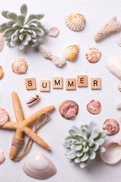 Marine  decorations  and word  summer  on white textured  background. Sea star, shells, coral, succulent echeveria. Sea objects. Selective focus. Vertical image.