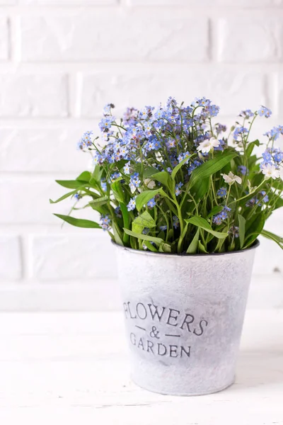 Fresh Blue Forget Nots Myosotis Flowers Grey Bucket White Wooden — Stock Photo, Image
