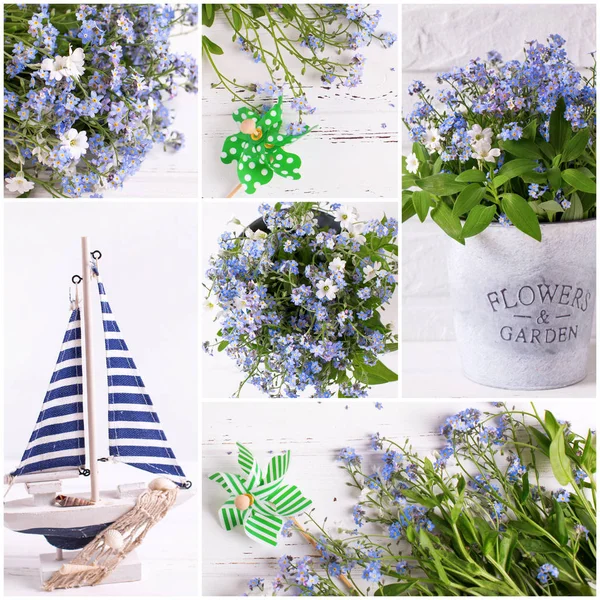 Collage Verano Fresco Azul Olvides Flor Miosotis Barco Decorativo Molinos — Foto de Stock