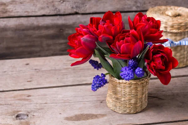 Tulipanes Rojos Flores Muscaries Azules Cubo Sobre Fondo Texturizado Envejecido —  Fotos de Stock