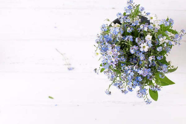 Fiori Freschi Blu Forget Nots Myosotis Sfondo Legno Bianco Natura — Foto Stock