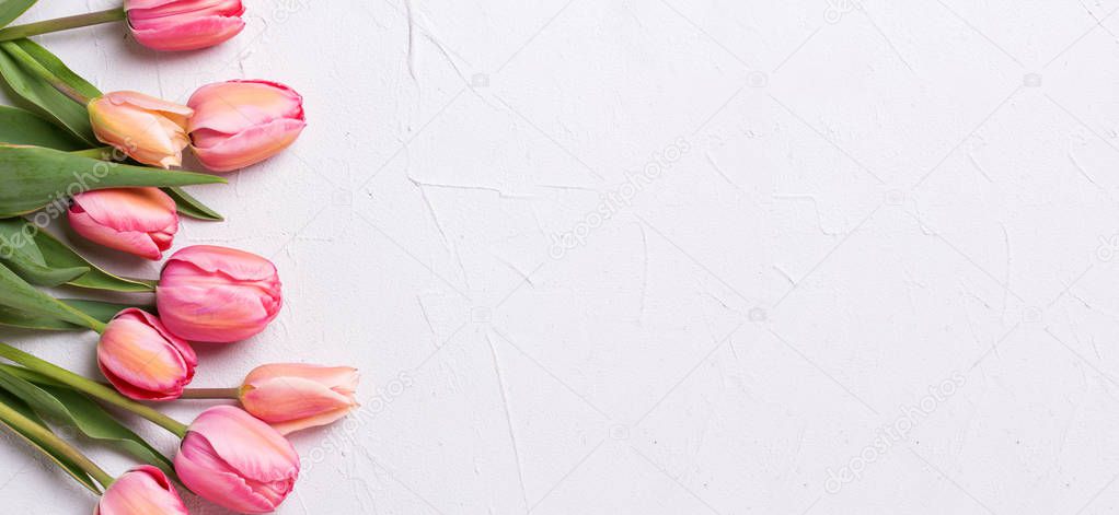 Site header. Pink tulip flowers on  textured background. Floral still life.  Selective focus. View from above. Place for text