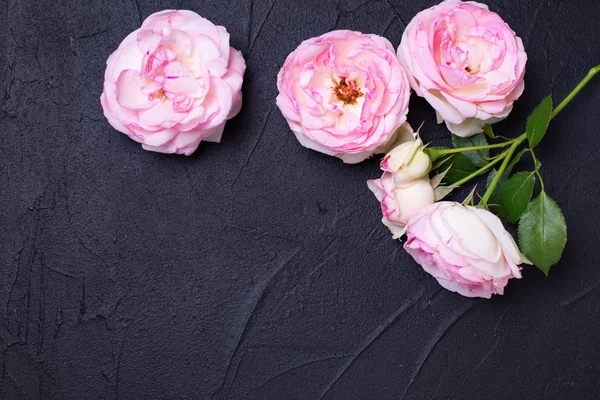 Pink rose flowers on black textured background. Top view. Place for text. Flat lay. Mock up.