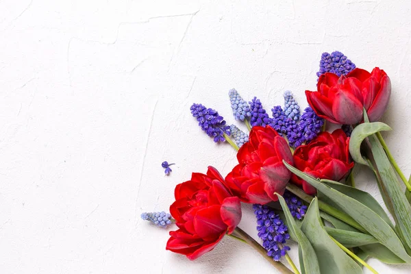Röda Tulpaner Och Blå Muscaries Blommor Vit Texturerat Bakgrund Blommig — Stockfoto