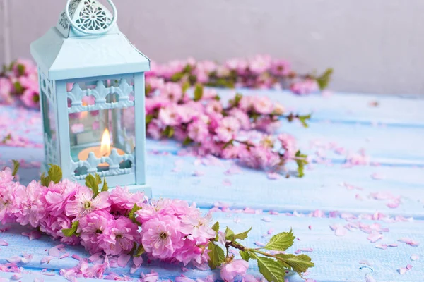 Flores Sakura Rosa Lanterna Decorativa Com Vela Tábuas Madeira Azul — Fotografia de Stock