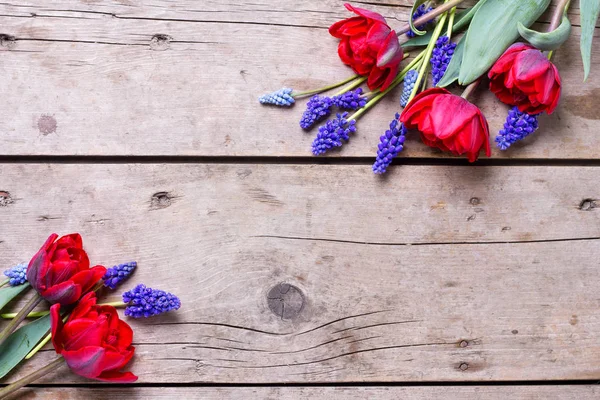 Červené Tulipány Modré Muscaries Květiny Vinobraní Texturou Pozadí Květinové Zátiší — Stock fotografie