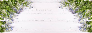 Mavi korun ya da myosotis çiçek beyaz ahşap zemin üzerinde kenar