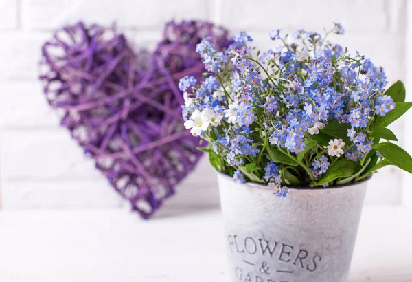 blue forget-me-nots or myosotis flowers in grey bucket and decorative heart on white wooden background