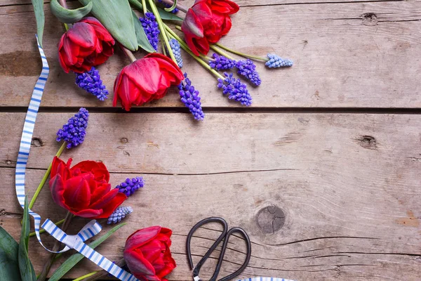 Ljusa Röda Tulpaner Och Blå Muscaries Blommor Åldern Texturerat Bakgrund — Stockfoto