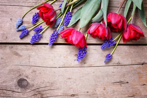 Czerwone Tulipany Muscaries Niebieskie Kwiaty Teksturowanej Tło Wieku — Zdjęcie stockowe