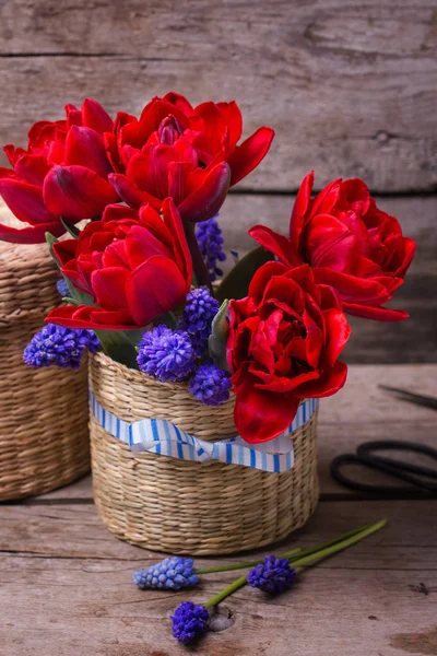 Tulipanes Rojos Flores Muscaries Azules Canasta Sobre Fondo Texturizado Envejecido —  Fotos de Stock