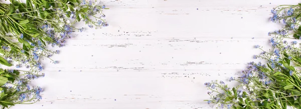 Taze Mavi Korun Myosotis Çiçek Beyaz Ahşap Zemin Üzerinde Kenar — Stok fotoğraf
