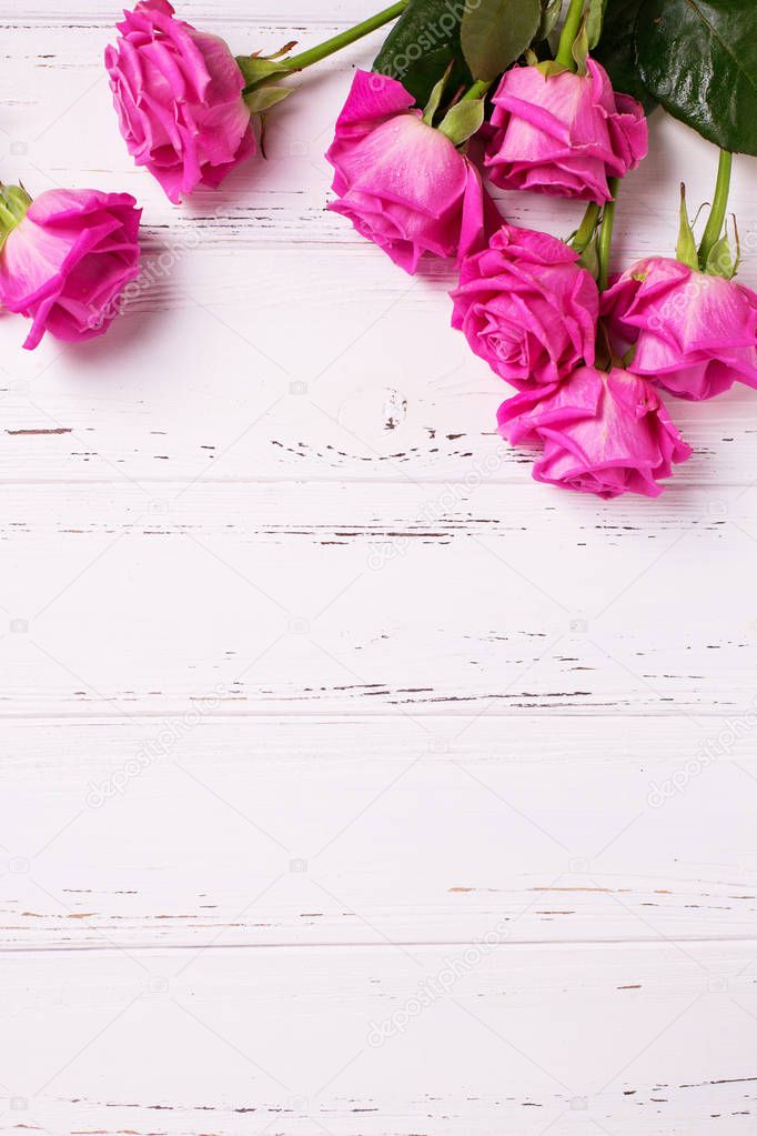 Frame from pink roses flowers on white wooden background