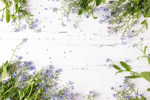 Flores Miosotis Azul Sobre Fondo Blanco Madera —  Fotos de Stock