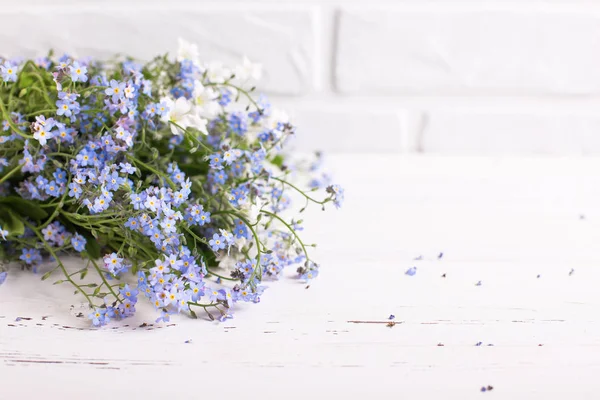 Flores Miosotis Azul Sobre Fondo Blanco Madera —  Fotos de Stock