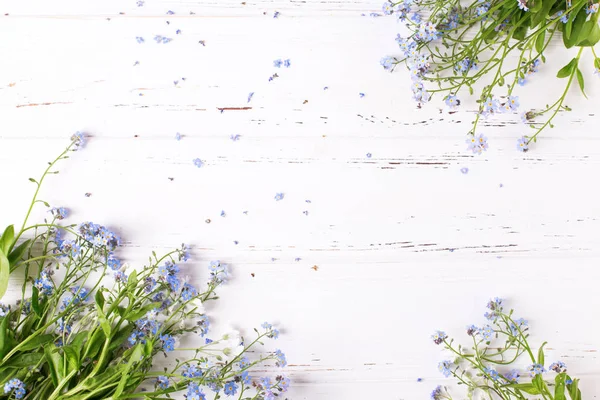 Blaue Myosotis Blüten Auf Weißem Holzhintergrund — Stockfoto