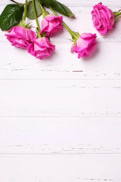 边界从粉红色玫瑰在白色木背景 — 图库照片