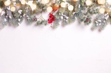 Dalları köknar ağacı ve beyaz zemin üzerine kırmızı meyveler.