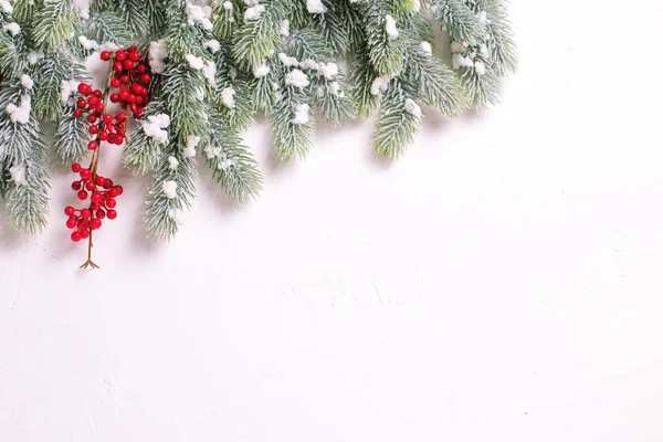 Dalları Köknar Ağacı Beyaz Zemin Üzerine Kırmızı Meyveler — Stok fotoğraf