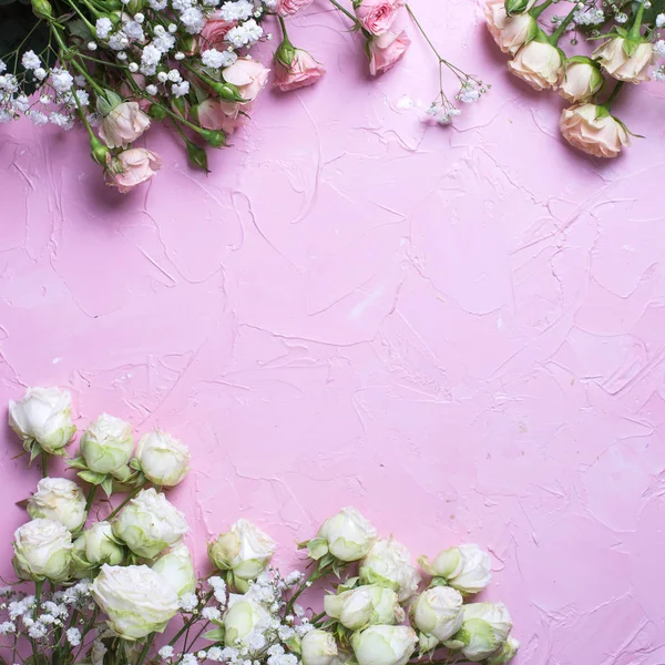 Draufsicht Auf Weiße Zigeunerblumen Und Rosen Auf Rosa Hintergrund — Stockfoto