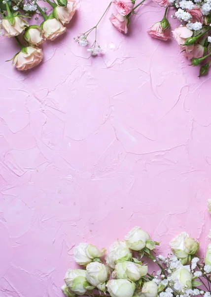 Flache Lage Mit Weißen Zigeunerblumen Und Rosen Auf Rosa Hintergrund — Stockfoto