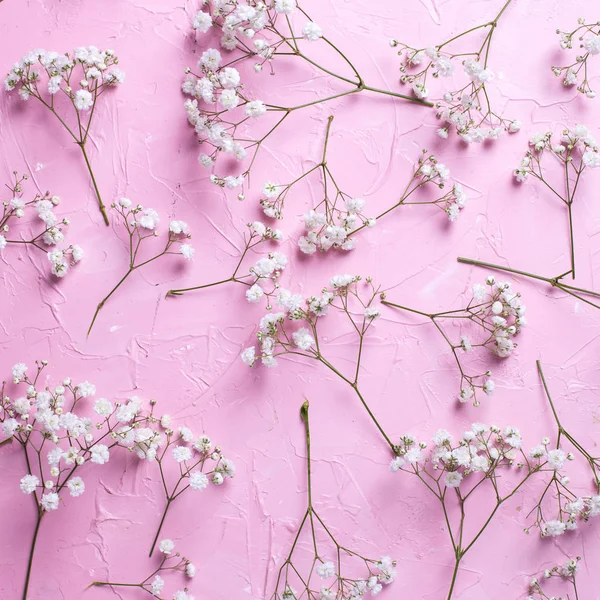 Draufsicht Auf Frische Weiße Gipsofila Blüten Auf Rosa Hintergrund — Stockfoto