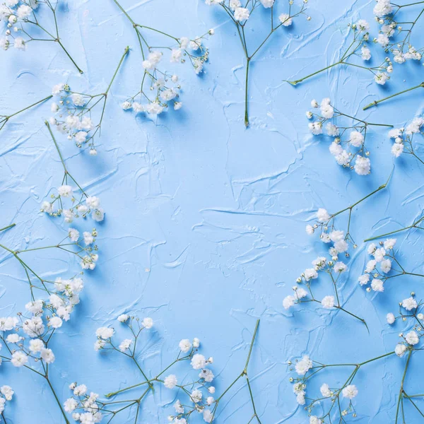 Vista Superior Flores Gypsophila Blancas Frescas Sobre Fondo Azul —  Fotos de Stock